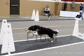 IMG_1268