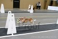 IMG_1270