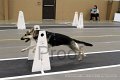 IMG_1276