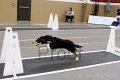 IMG_1277