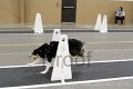 IMG_1278