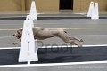 IMG_1300