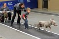 IMG_1327