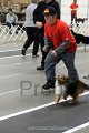 IMG_1347