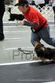 IMG_1358