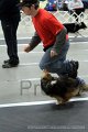 IMG_1359