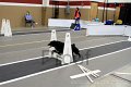 IMG_1378