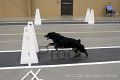 IMG_1380