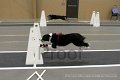 IMG_1384