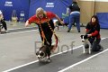 IMG_1411