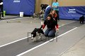 IMG_1412