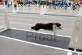 IMG_1423