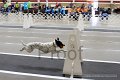 IMG_1430