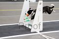 IMG_1433