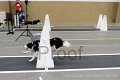 IMG_1451