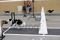 IMG_1452