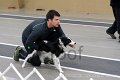IMG_1475