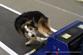 IMG_1497