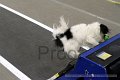 IMG_1506