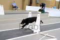 IMG_1515