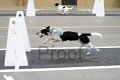 IMG_1521