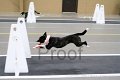 IMG_1524
