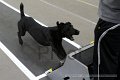 IMG_1534