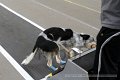 IMG_1539
