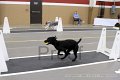 IMG_1561