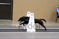 IMG_1574