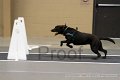 IMG_1576