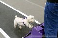 IMG_1586