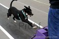 IMG_1592