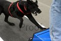 IMG_1610