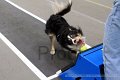 IMG_1620