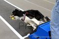 IMG_1622