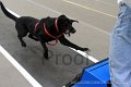 IMG_1628