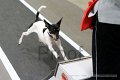 IMG_1651
