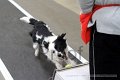 IMG_1655