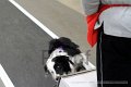 IMG_1656