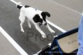 IMG_1671