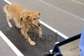IMG_1681