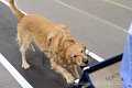 IMG_1682