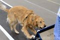 IMG_1683