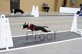 IMG_1696