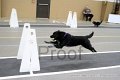 IMG_1700