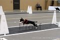IMG_1705