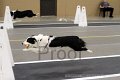 IMG_1729