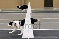 IMG_1730