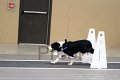 IMG_1751